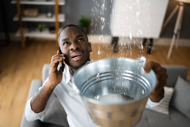 Best Water damage restoration company  in Rayre, MO