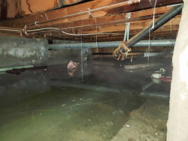 Best Flooded house restoration  in Rayre, MO
