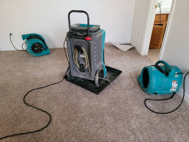 Best Water damage cleanup near me  in Rayre, MO