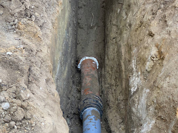 Best Sewage cleanup and water damage restoration  in Rayre, MO