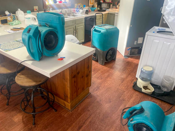 Best Flood damage cleanup  in Rayre, MO