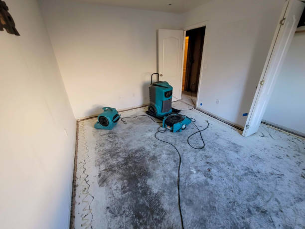Raymore, MO Water damage restoration Company