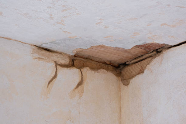 Best Basement water damage restoration  in Rayre, MO