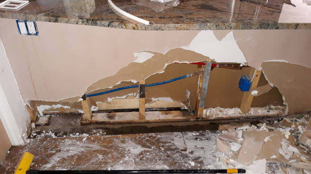 Best Professional water damage repair  in Rayre, MO