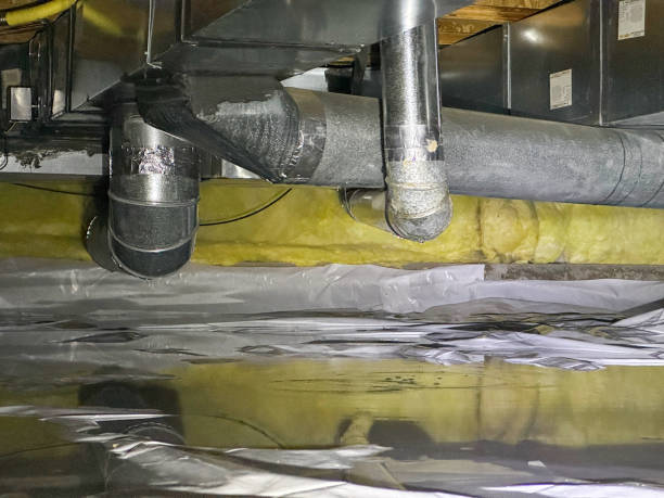 Best Flood restoration services  in Rayre, MO