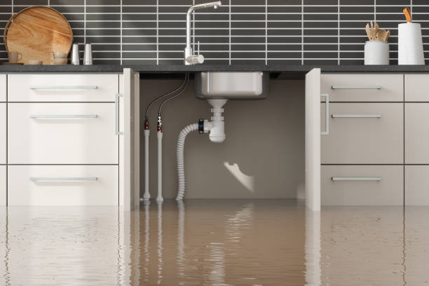 Best Fire Damage Restoration  in Rayre, MO