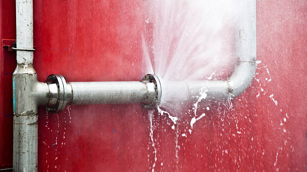 Best Ceiling water damage repair  in Rayre, MO