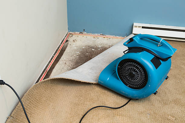  Rayre, MO Water damage restoration Pros